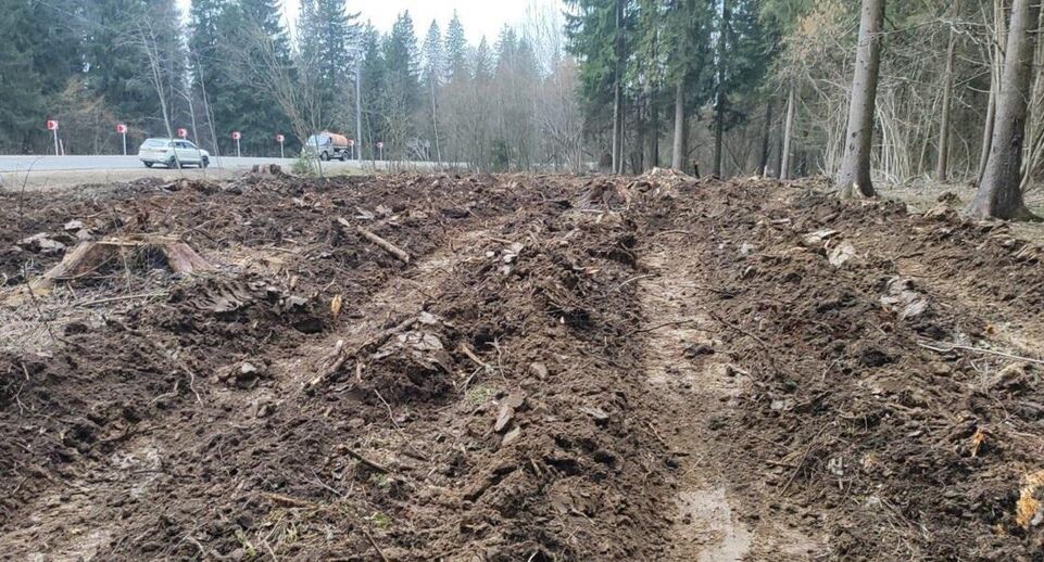    Комитет лесного хозяйства Московской области