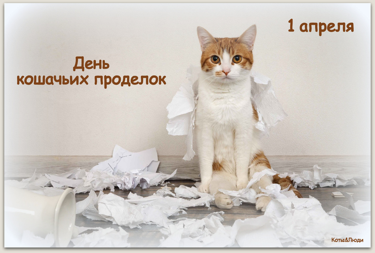 Коллаж автора