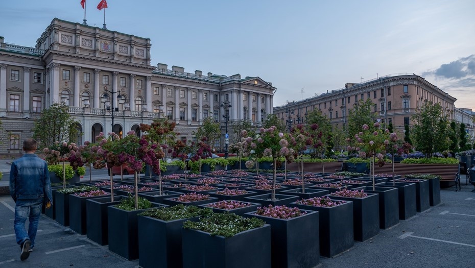    Автор фото: Тихонов Михаил/"ДП"