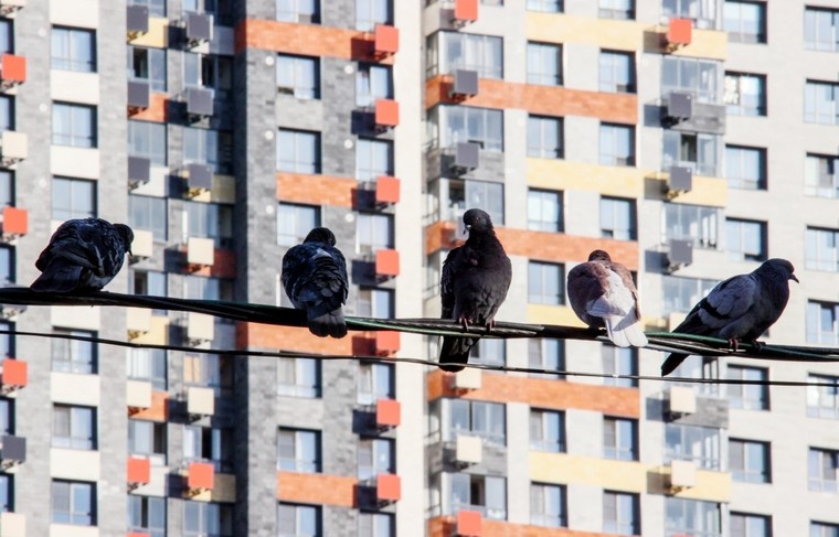    Сергей Лантюхов/NEWS.ru