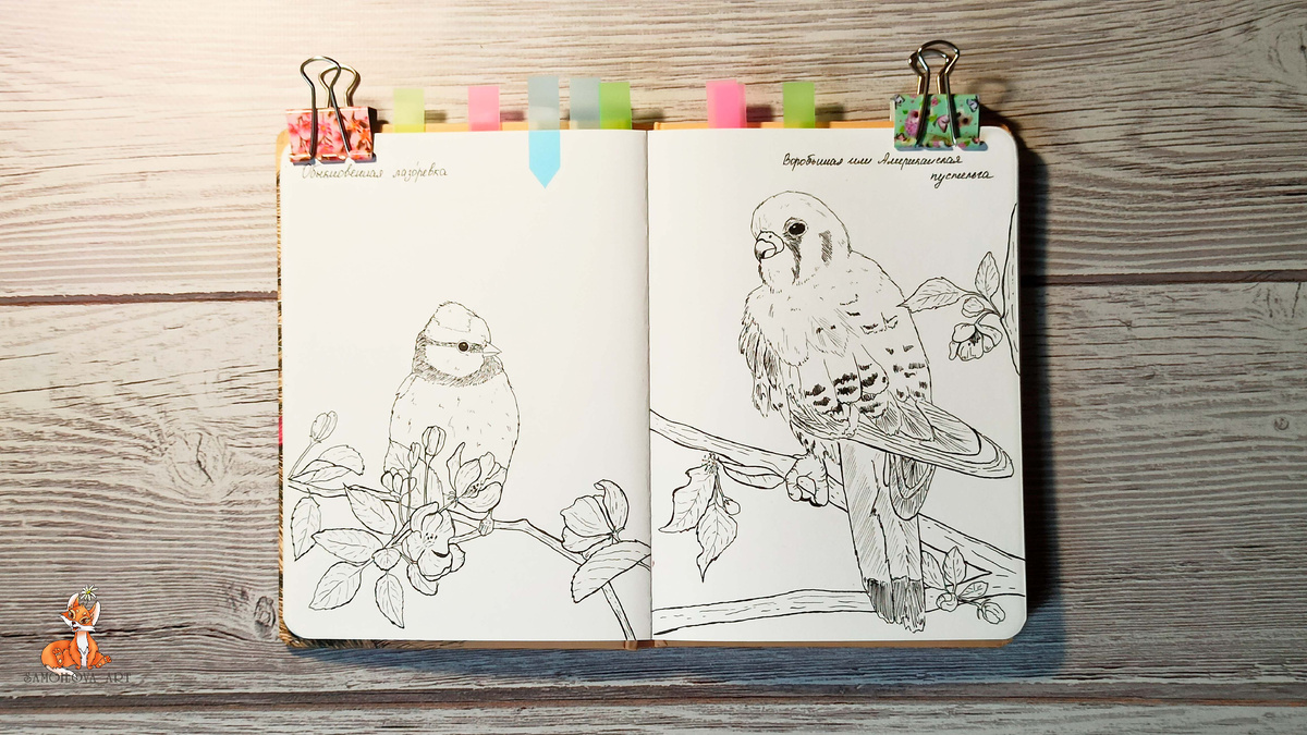 День птиц, подборка старых работ за апрель 2024