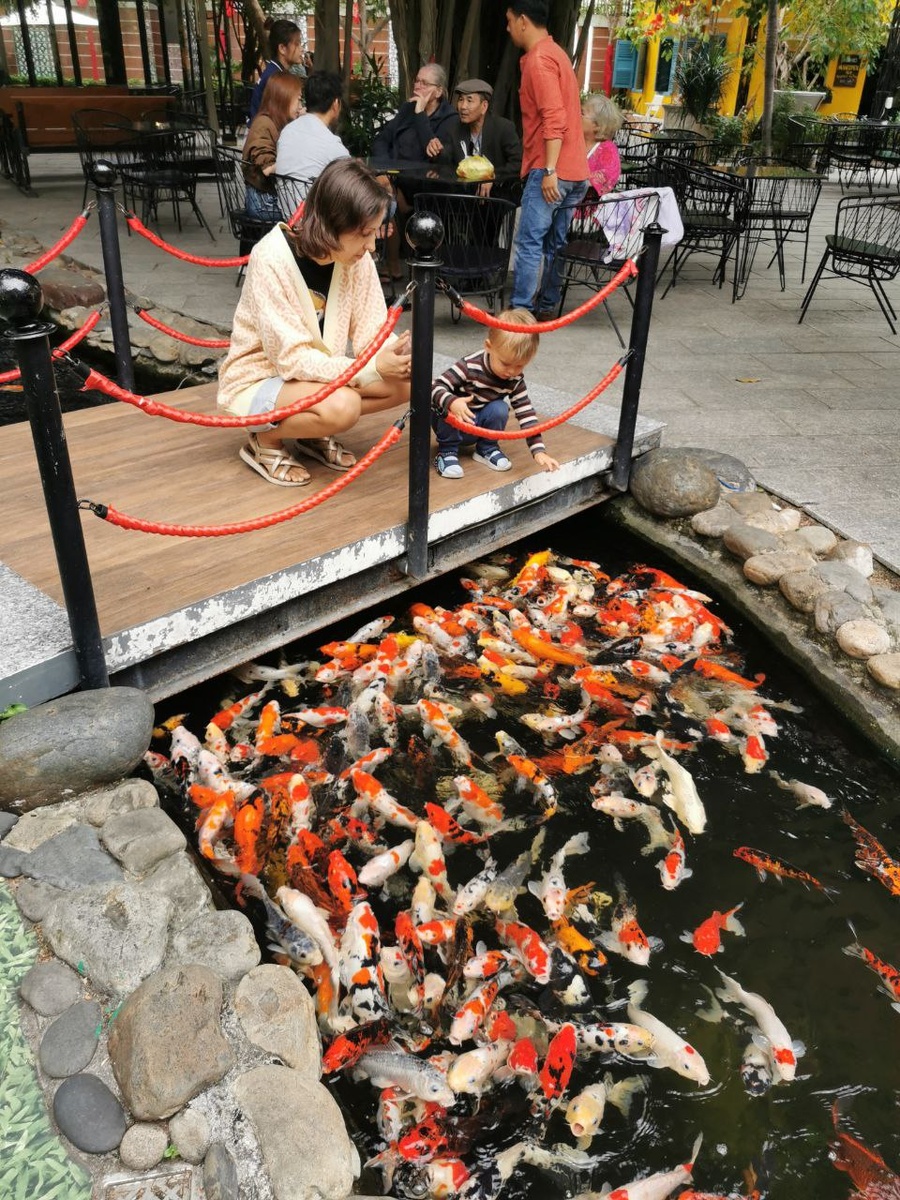 Корм для рыбок 10 000 донгов