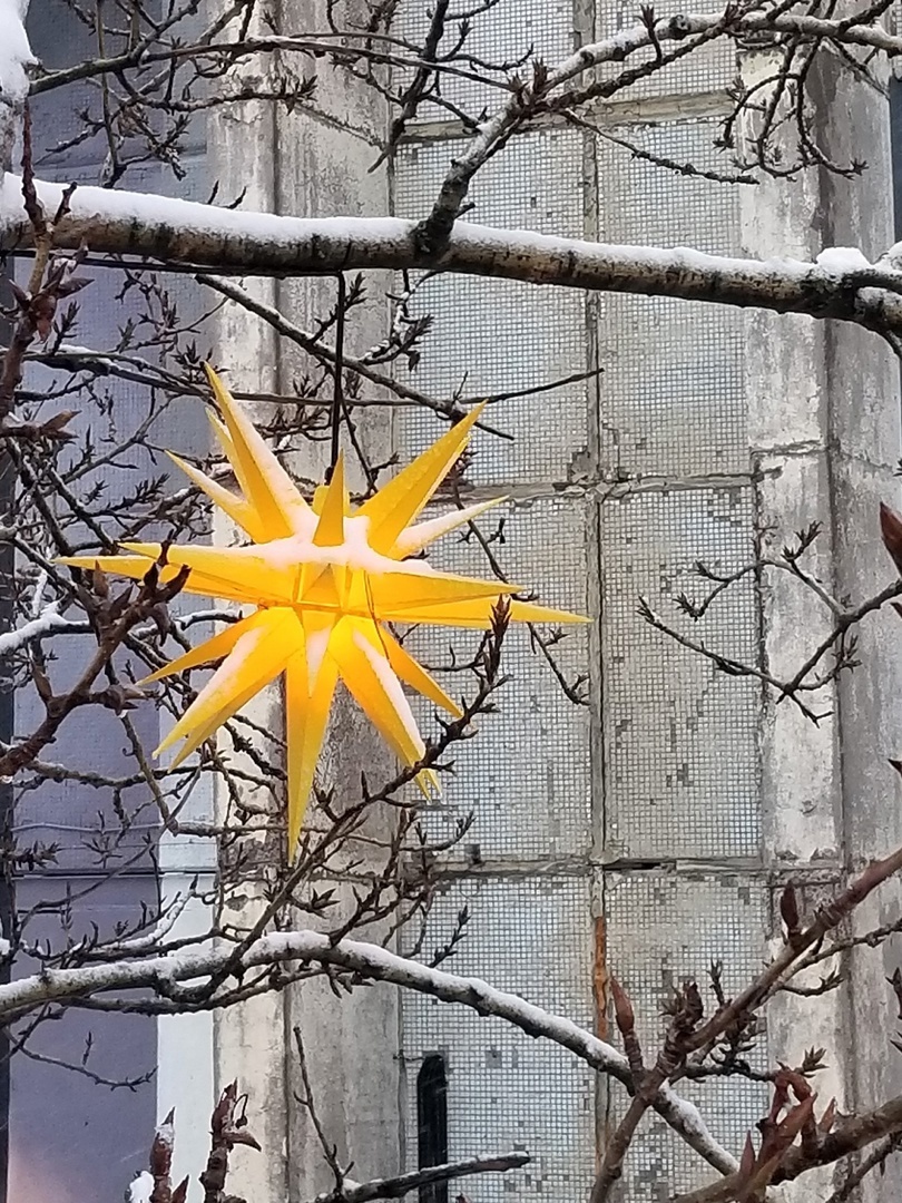 Звезда в парке «Севкабель ПОРТ»