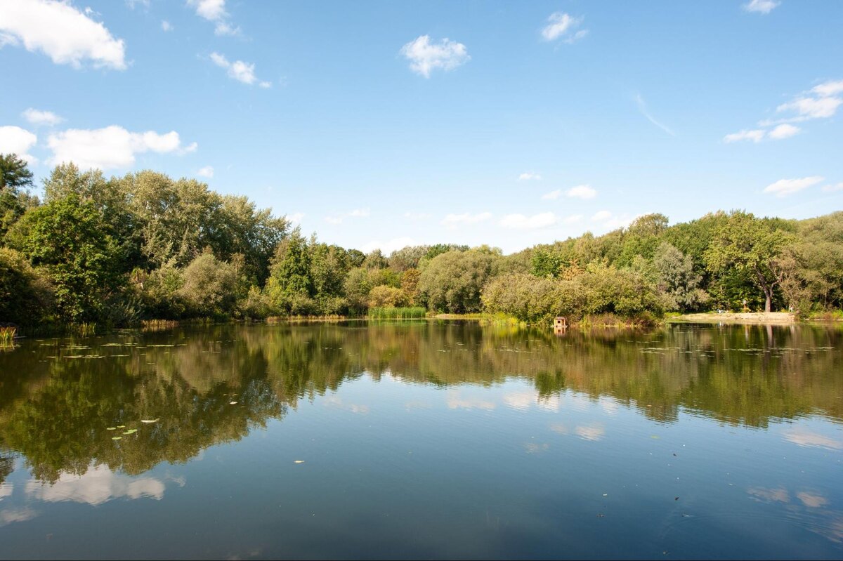 Район часто называют Московской Карелией: здесь много водоёмов, пляжей и крупных парковых зон