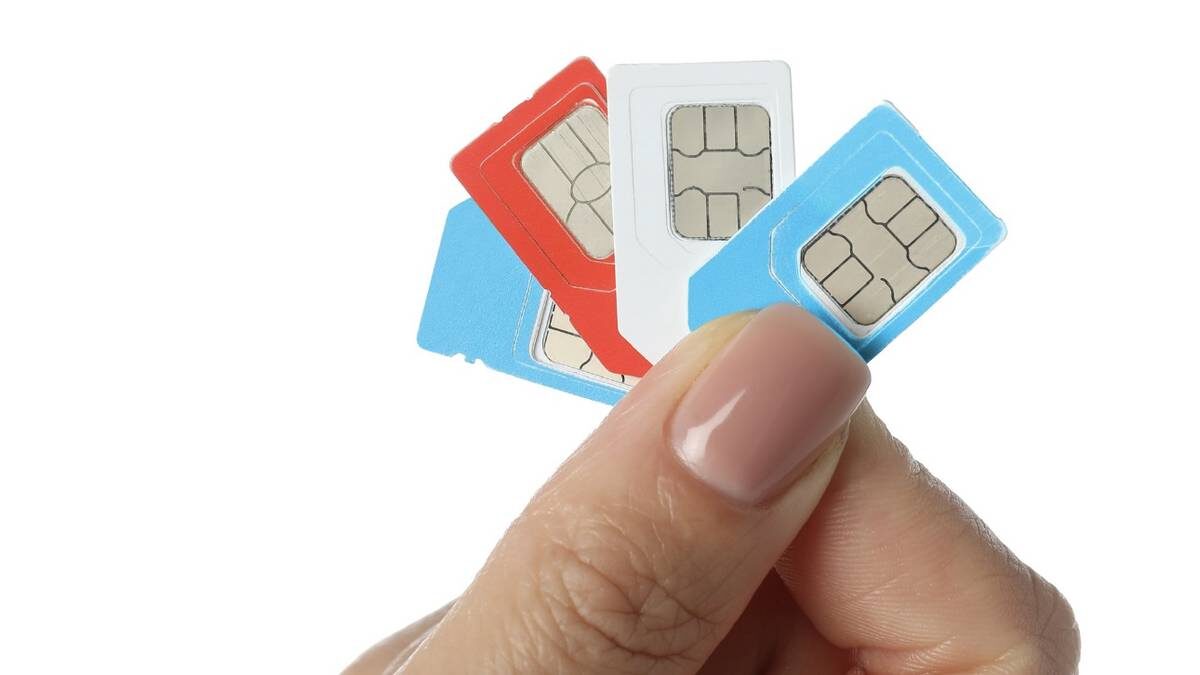    Фото: Shutterstock