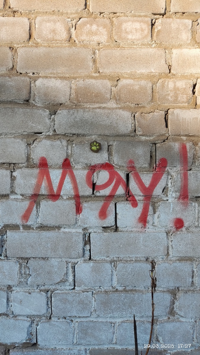 Telegram остаётся топовой платформой для заработка, но успех требует стратегии и экспертного подхода. Рассказываю пошагово, как раскрутить канал с минимальными рисками.