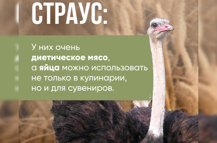    Фото: Команда холдинга "Чистополье" / Telegram