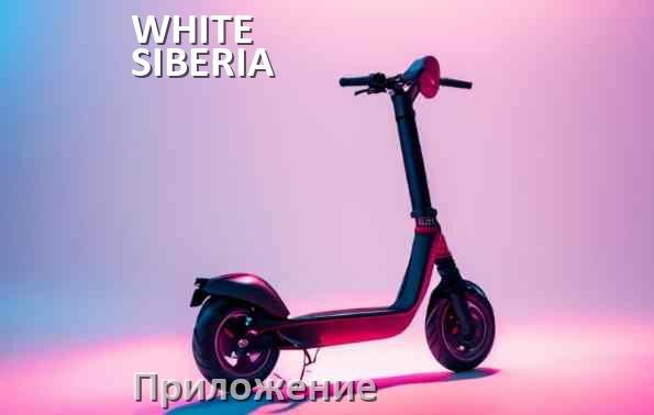 
Приложение для самоката WHITE SIBERIA на Android и iPhone для прошивки, управления, настройки