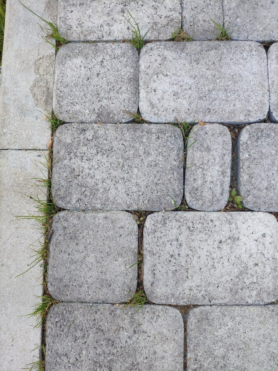 Как избавиться от травы между швами в садовых дорожках