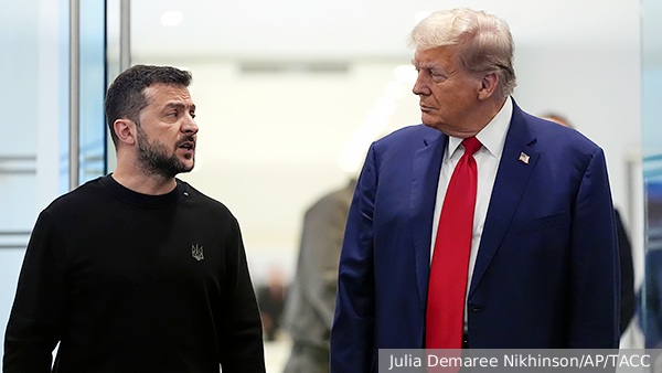     Фото: Julia Demaree Nikhinson/AP/ТАСС   
 Текст: Анастасия Куликова