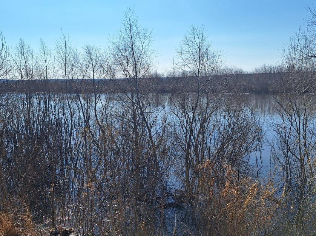 Фото: из Telegram-канала главы Исетского района Николая Теньковского