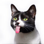    Фото: freepik Юля Баранова