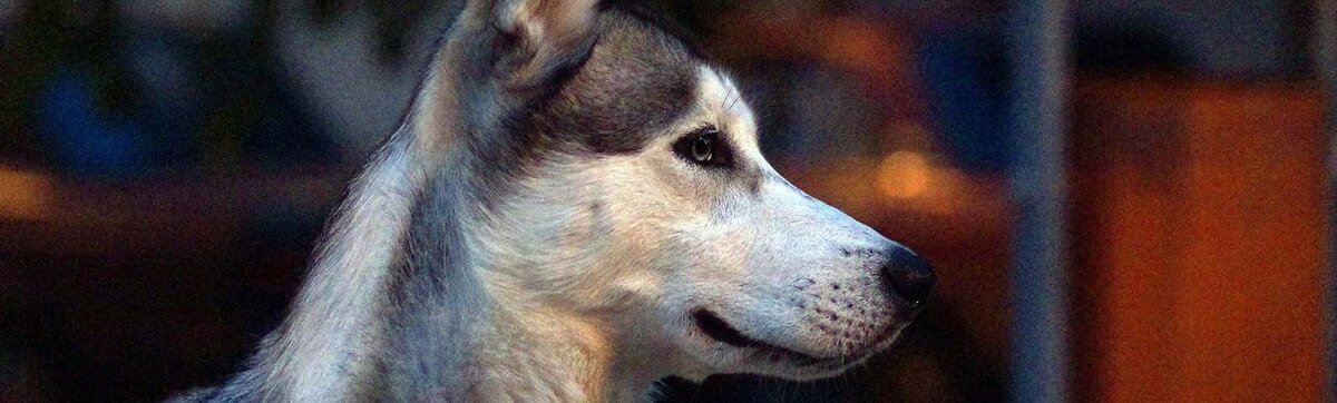    Фото: Сергей Егоров