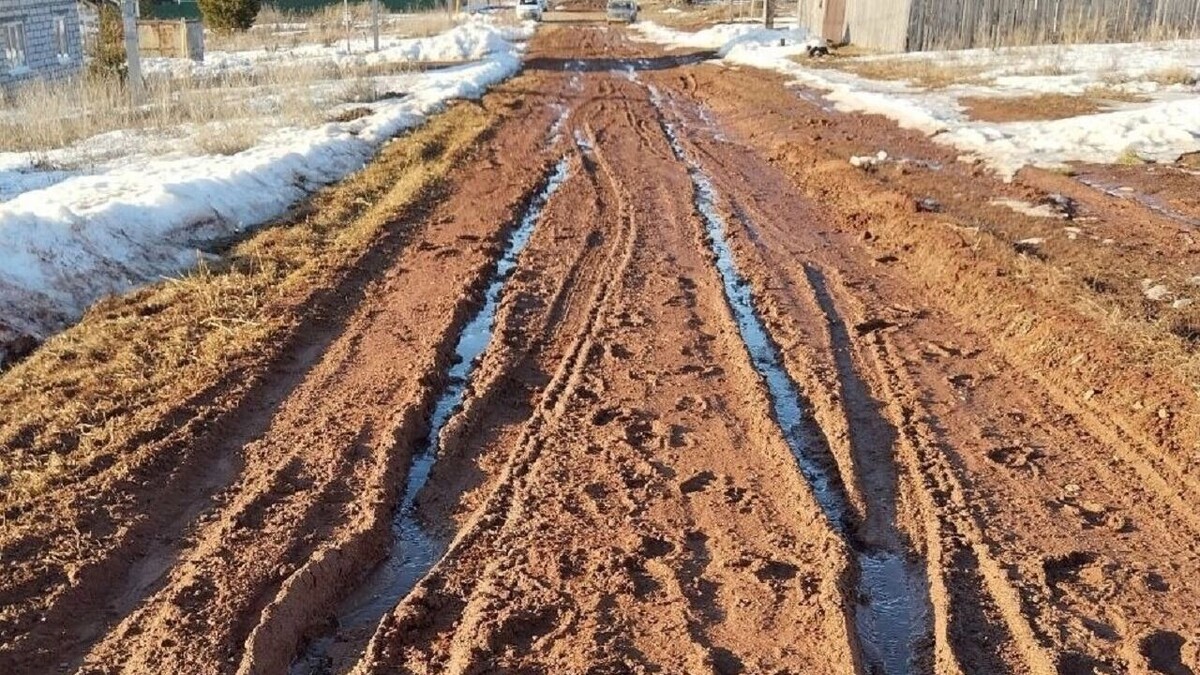     Источник: udm-info.ru