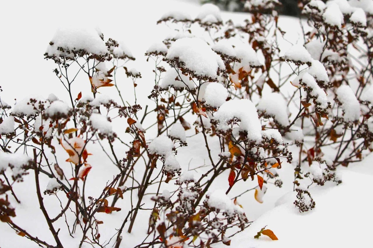    © минтербез Пермского края