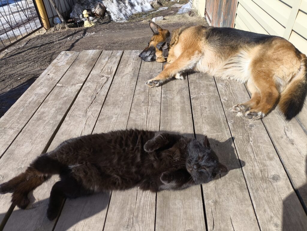    Фото: В курсе.ру Алена Калашникова