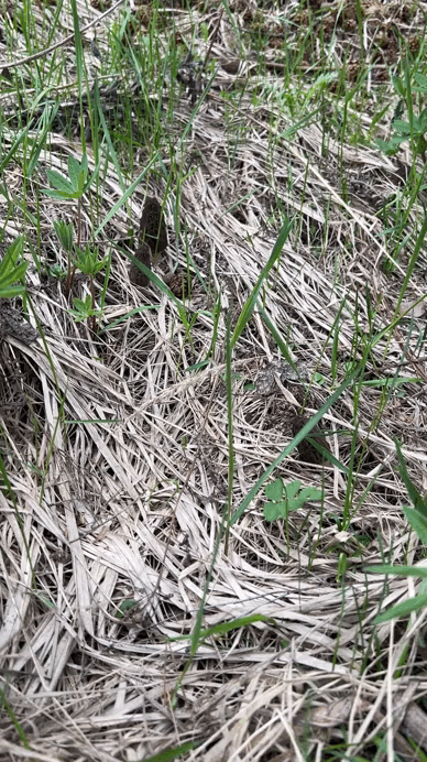 Видео автора. 16.04.24