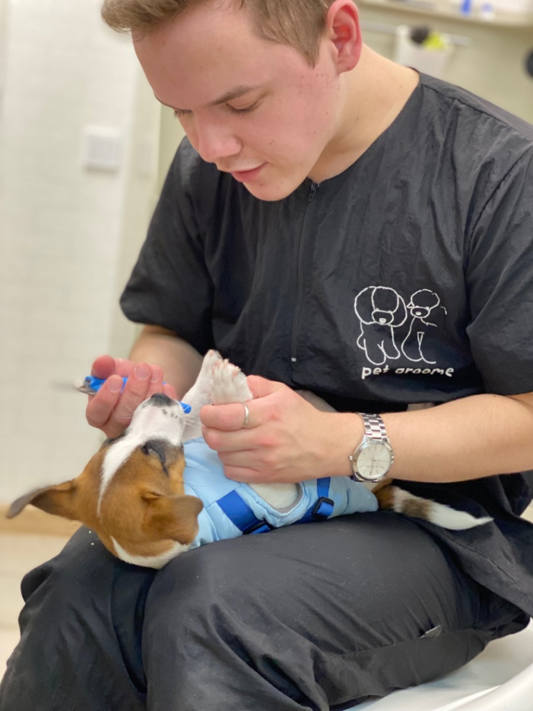 фото: Groom_botanika / VK