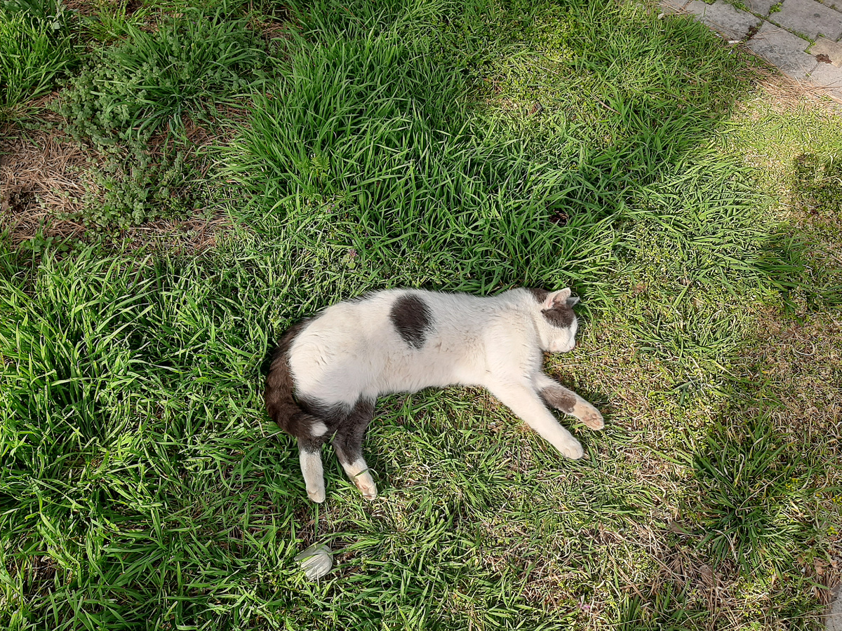 Я подумаю об этом позже...