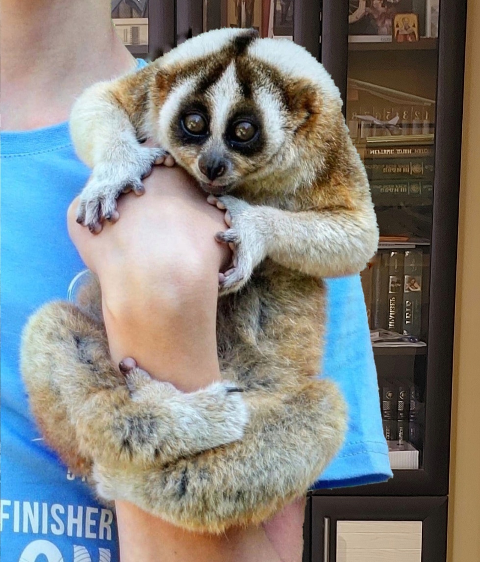 фото автора 