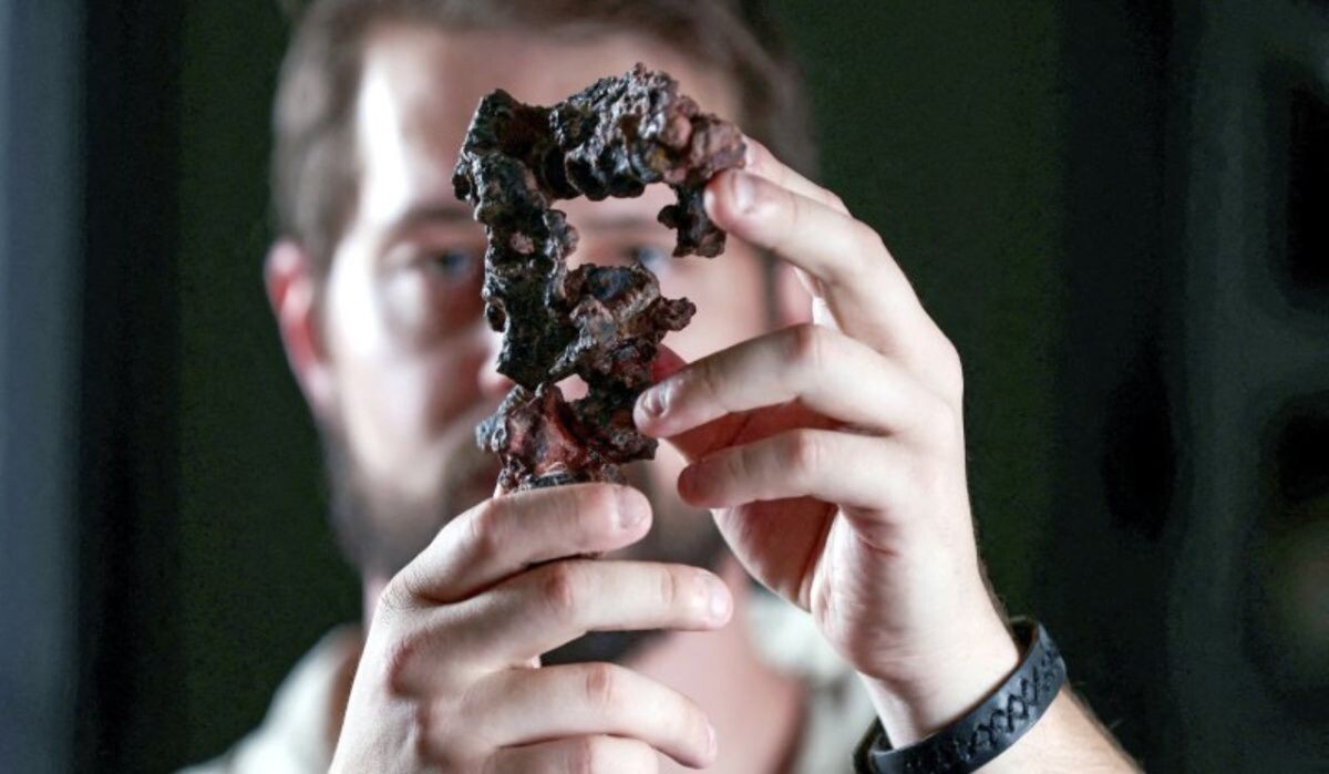     Зуб динозавра. Источник: Reuters Автор фото: Diego Vara