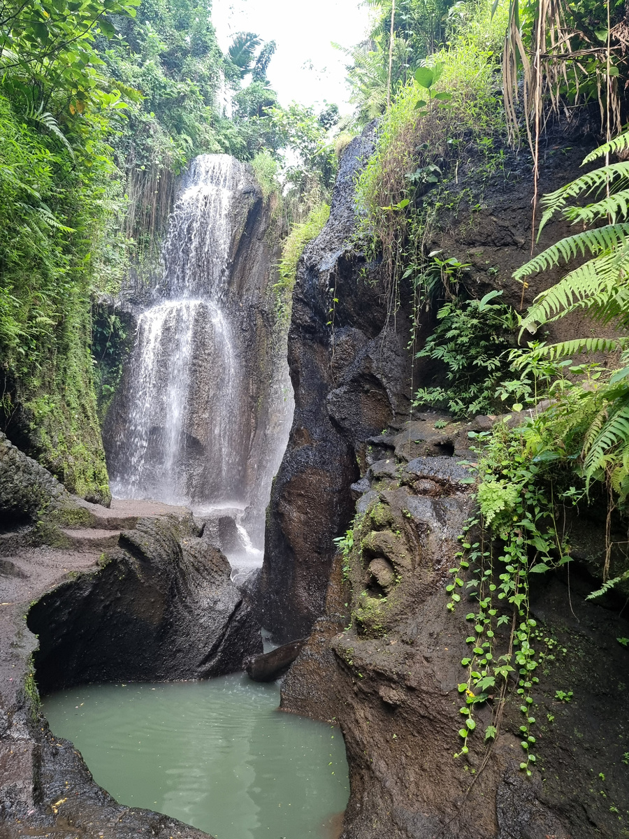 Фото сделано сотрудниками турагентства Travelata м.Ботанический сад