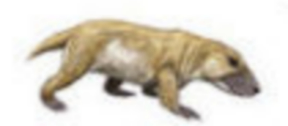 Антекозух. Очень шакальная картинка. Иллюстрация сделана Дмитрием Богдановым.