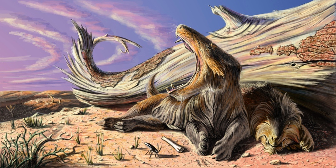 Траверсодонтоиды спят.