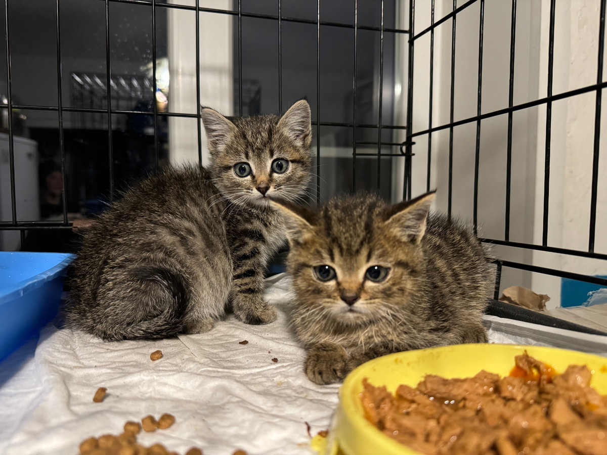 Фото из архива автора