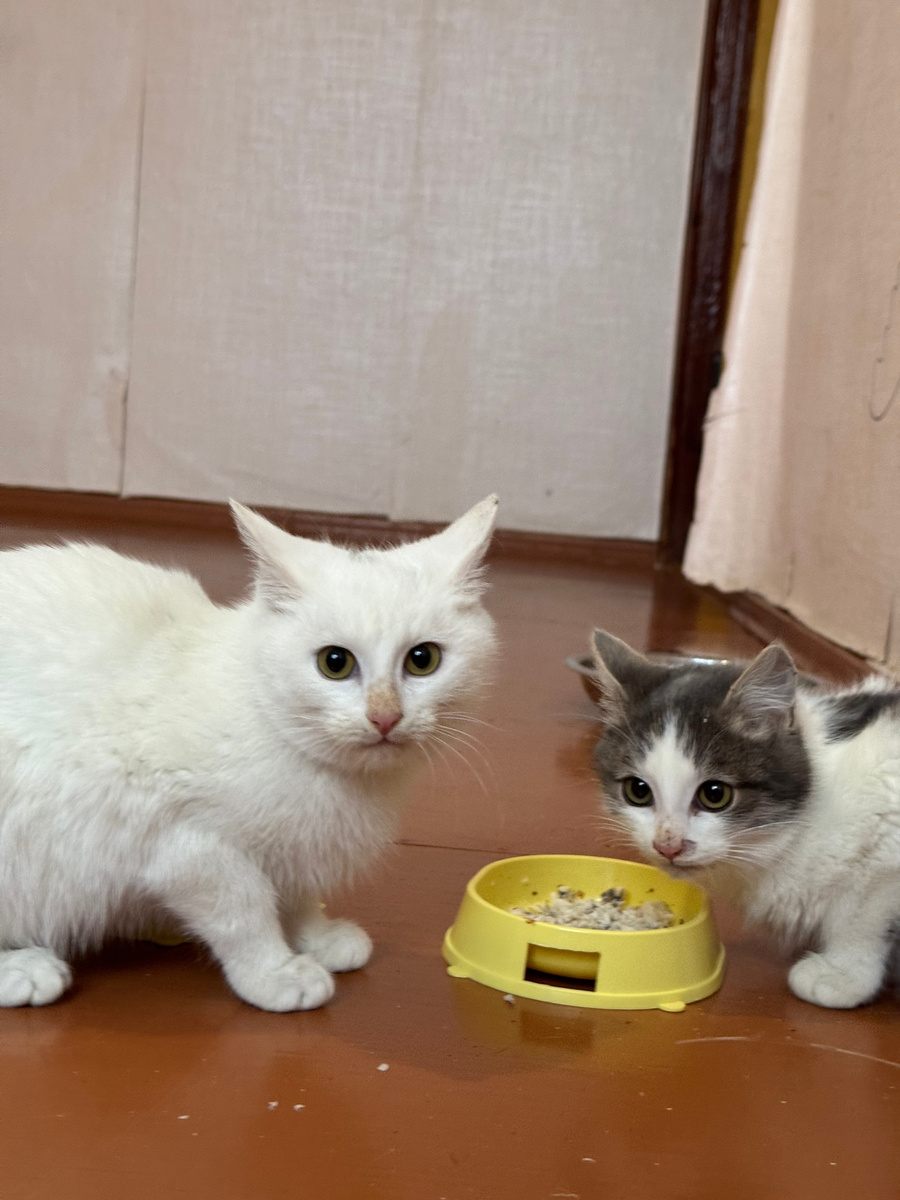 Фото из архива автора