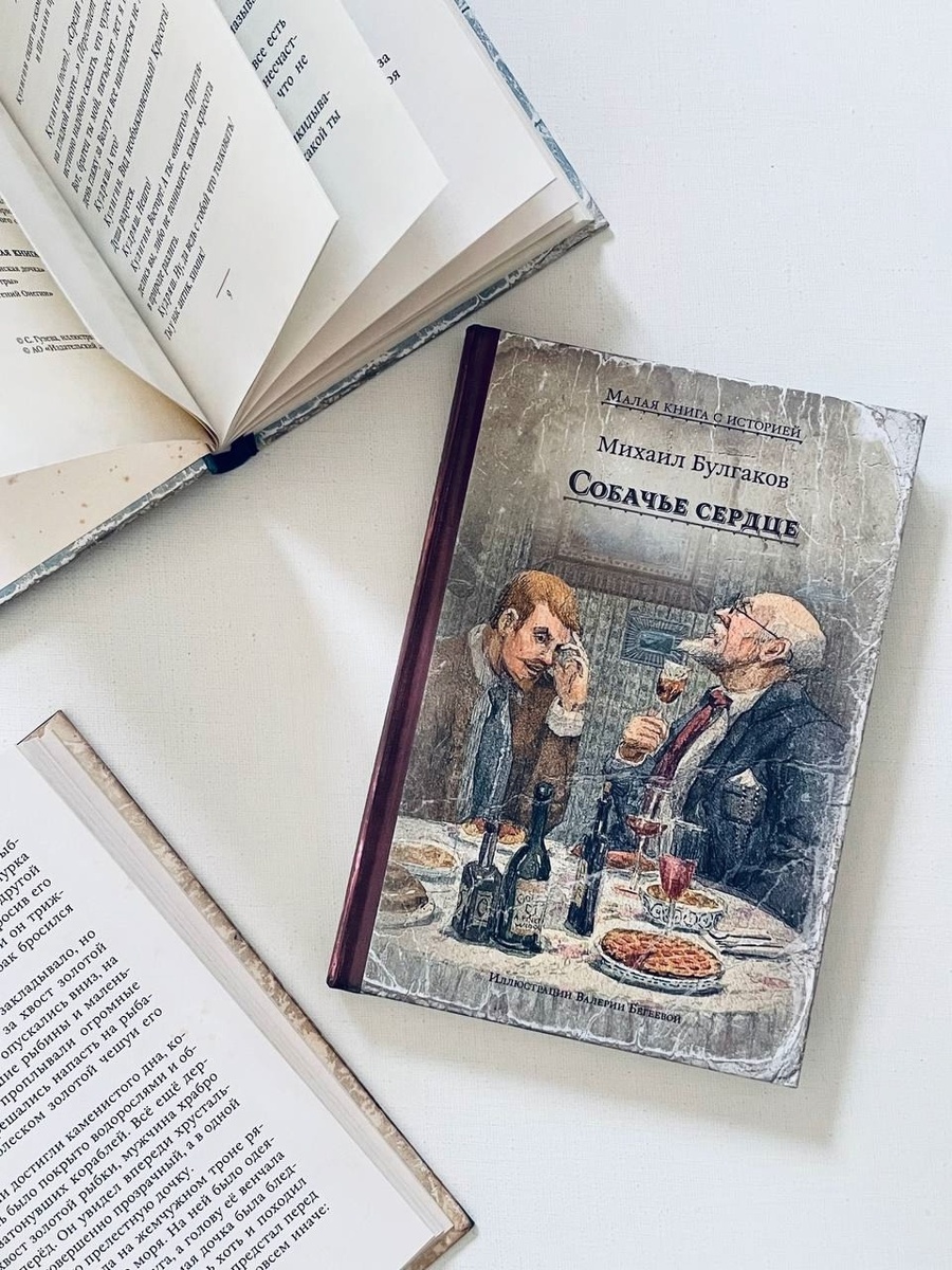 Книга «Собачье сердце», серия «Малая книга с историей», иллюстрации Валерии Бегеевой