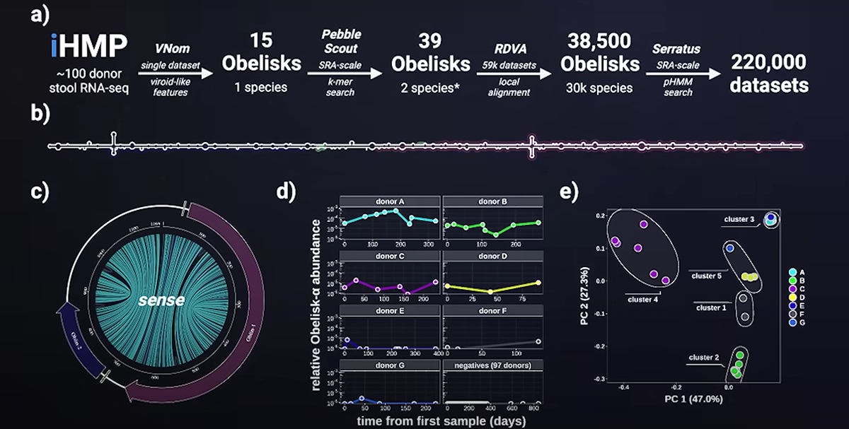 Структура обелисков