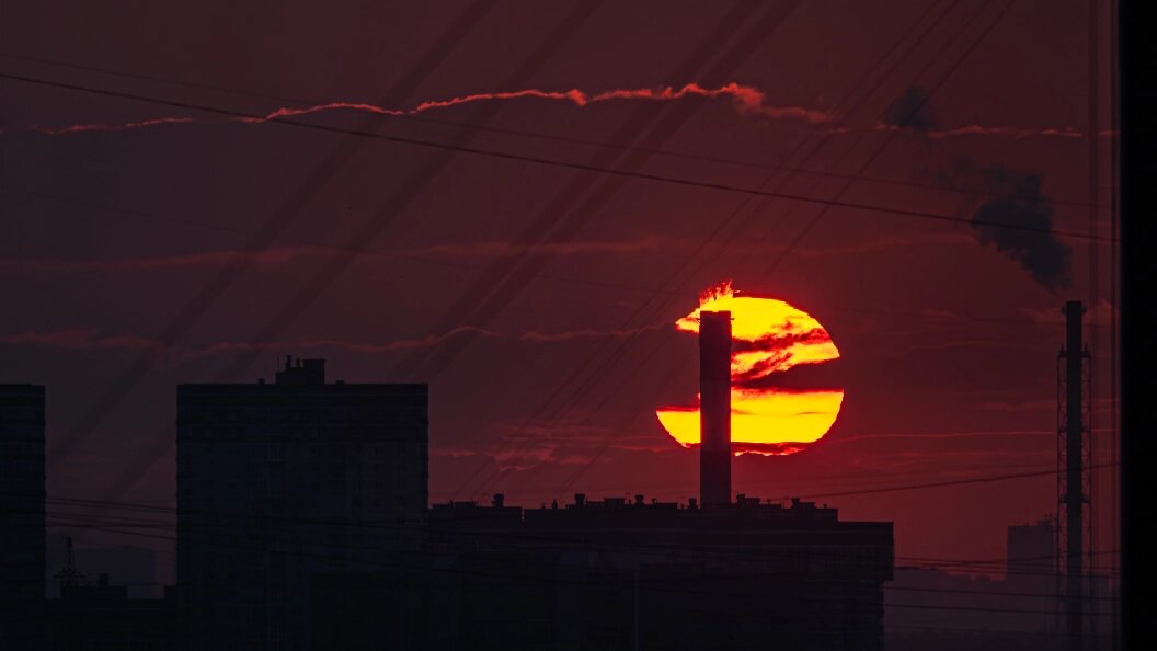    Фото: Edgar Breshchanov/Global Look Press