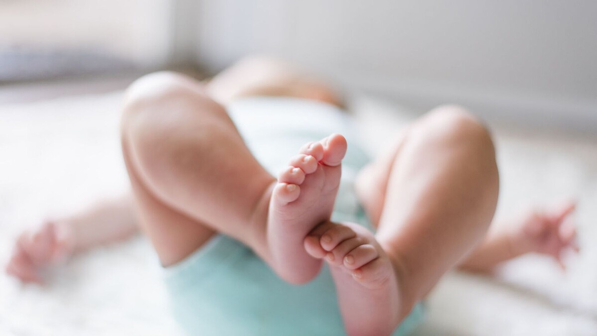 © Photo : Unsplash / Picsea