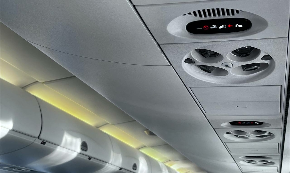 Фото: Neva.Today/Дарья Вовк