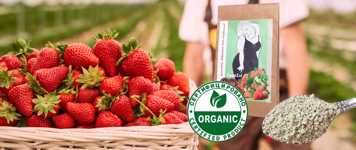 удобрение для клубники