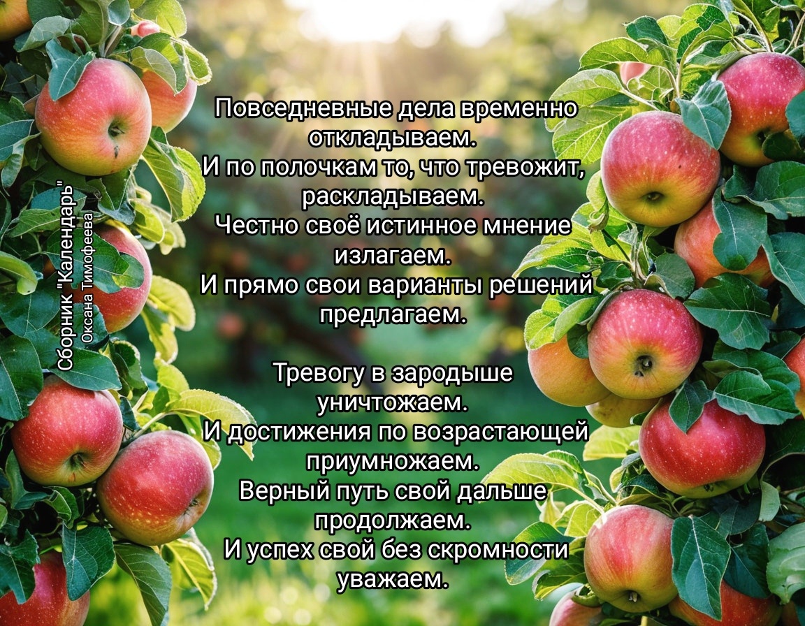 Сборник "Календарь". Окана Тимофеева (автор)