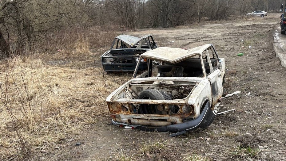    Автор фото: Валерия Чепакова / "ДП"