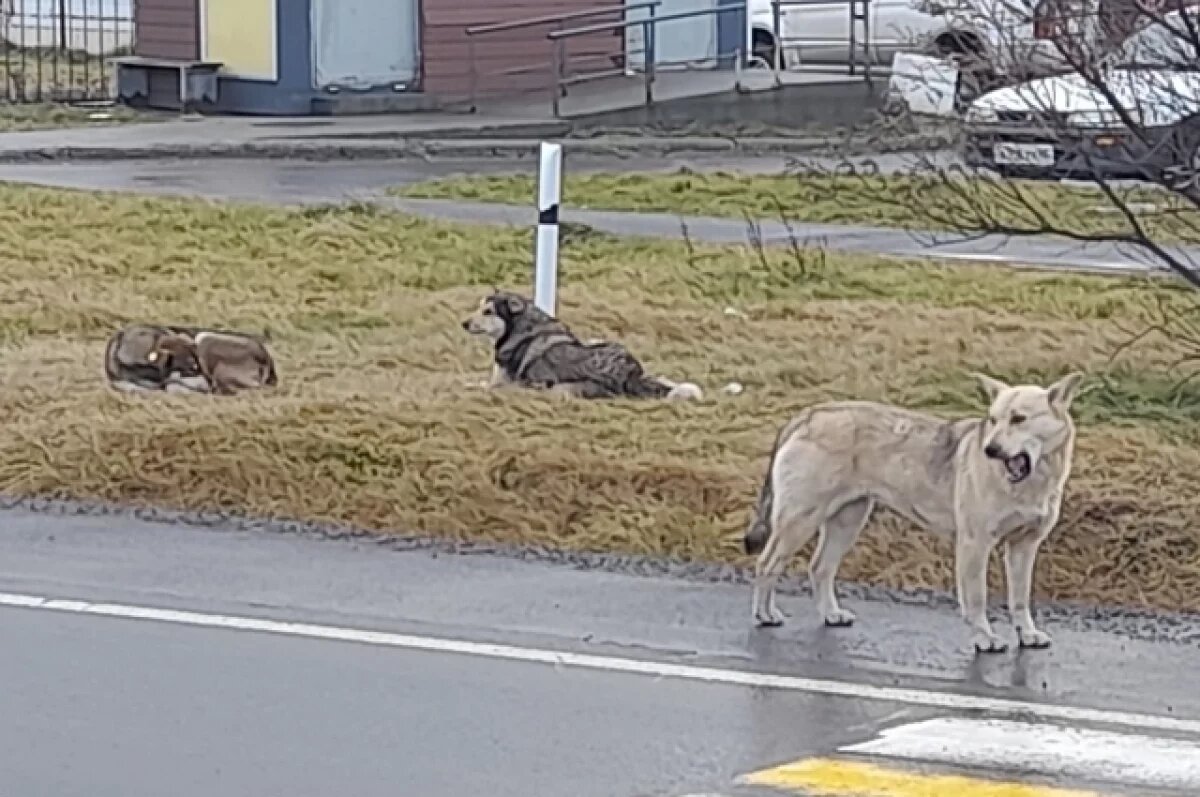    «Угроза для нас».