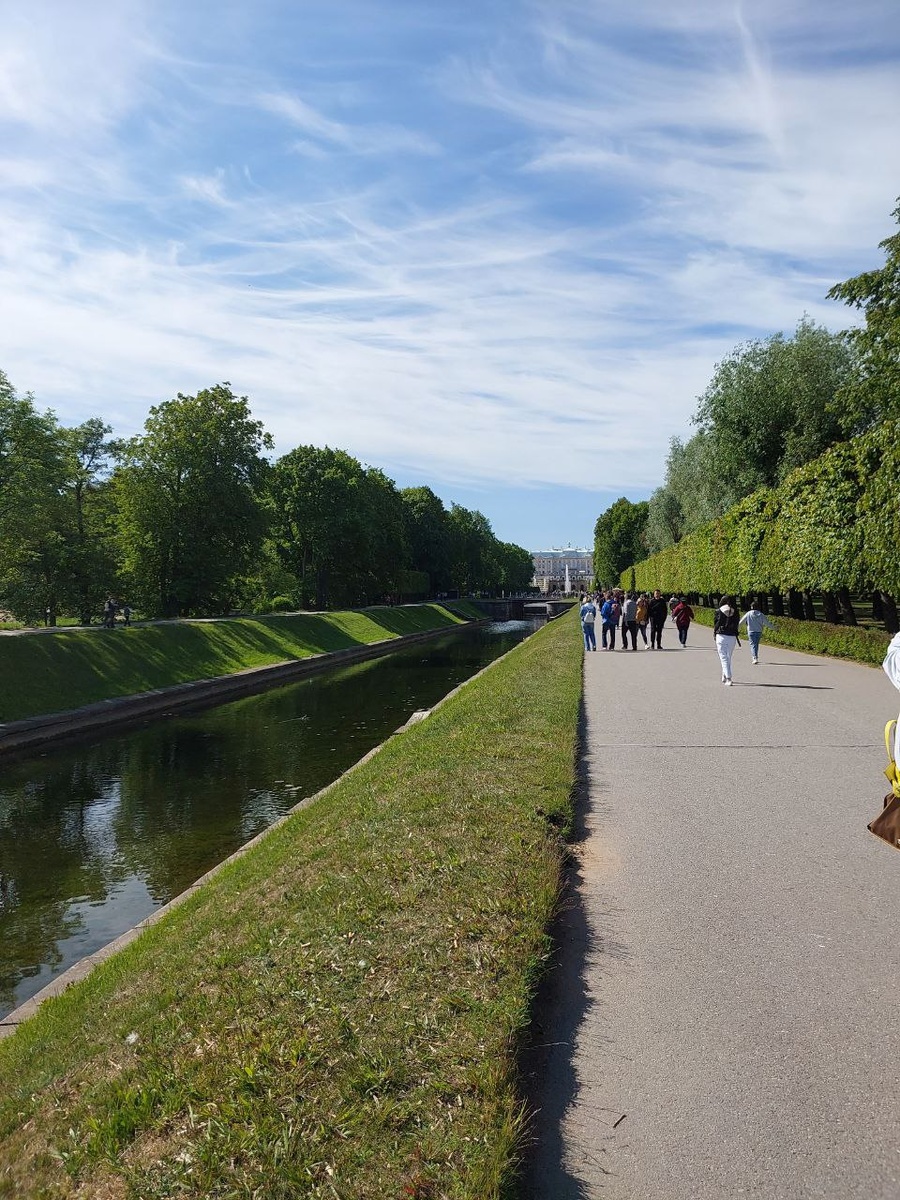 Пустынные дорожки с утра.