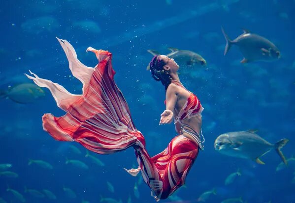 © Getty Images / China News Service/VCG/Luo Yunfei