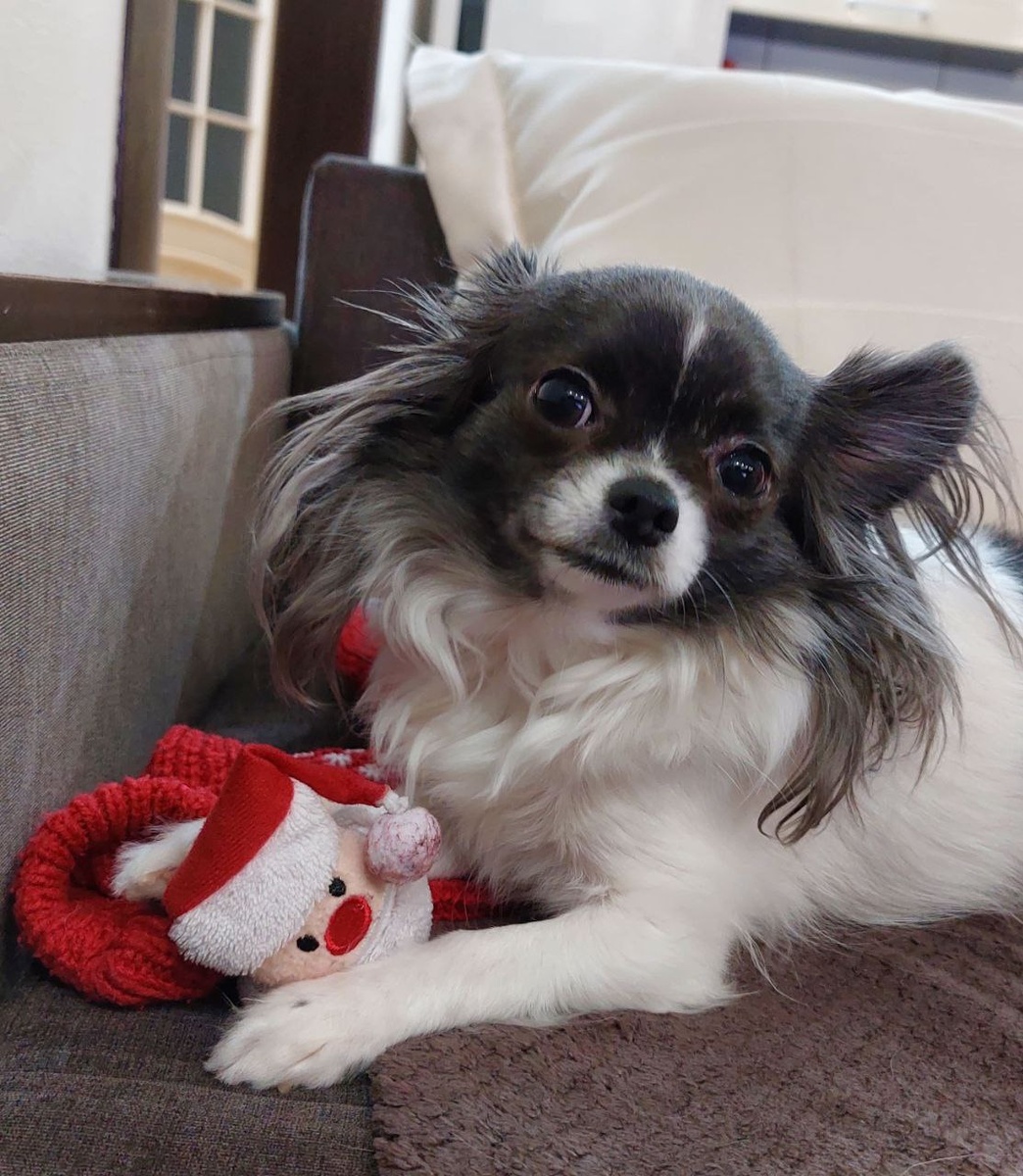 Любовь всей моей жизни) 