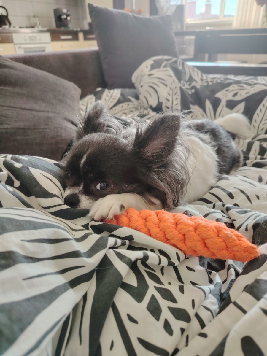 Канатик в форме морковки - и красиво, и безопасно