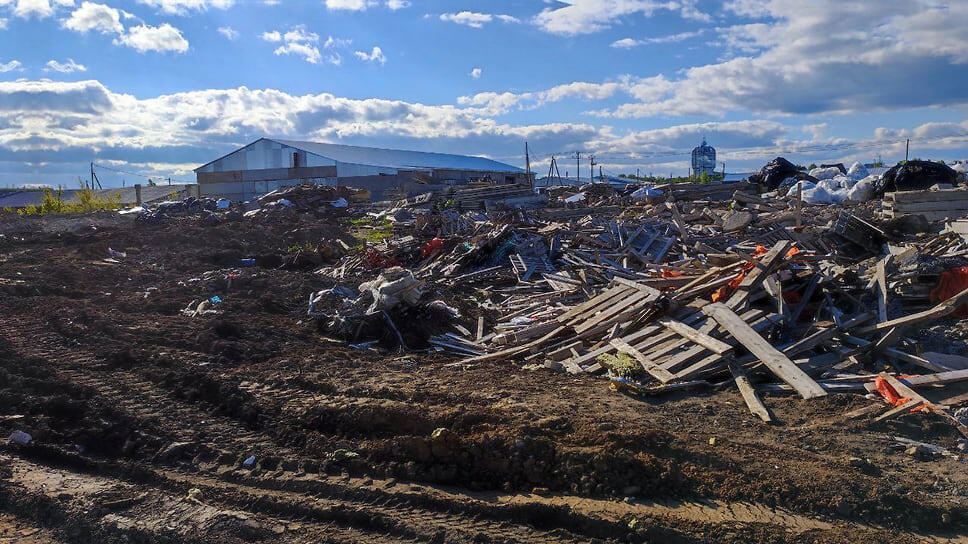 Фото: Брагин Александр