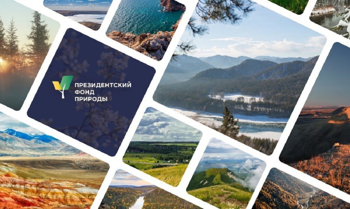    Нижегородцы могут принять участие в первом конкурсе Президентского фонда природы