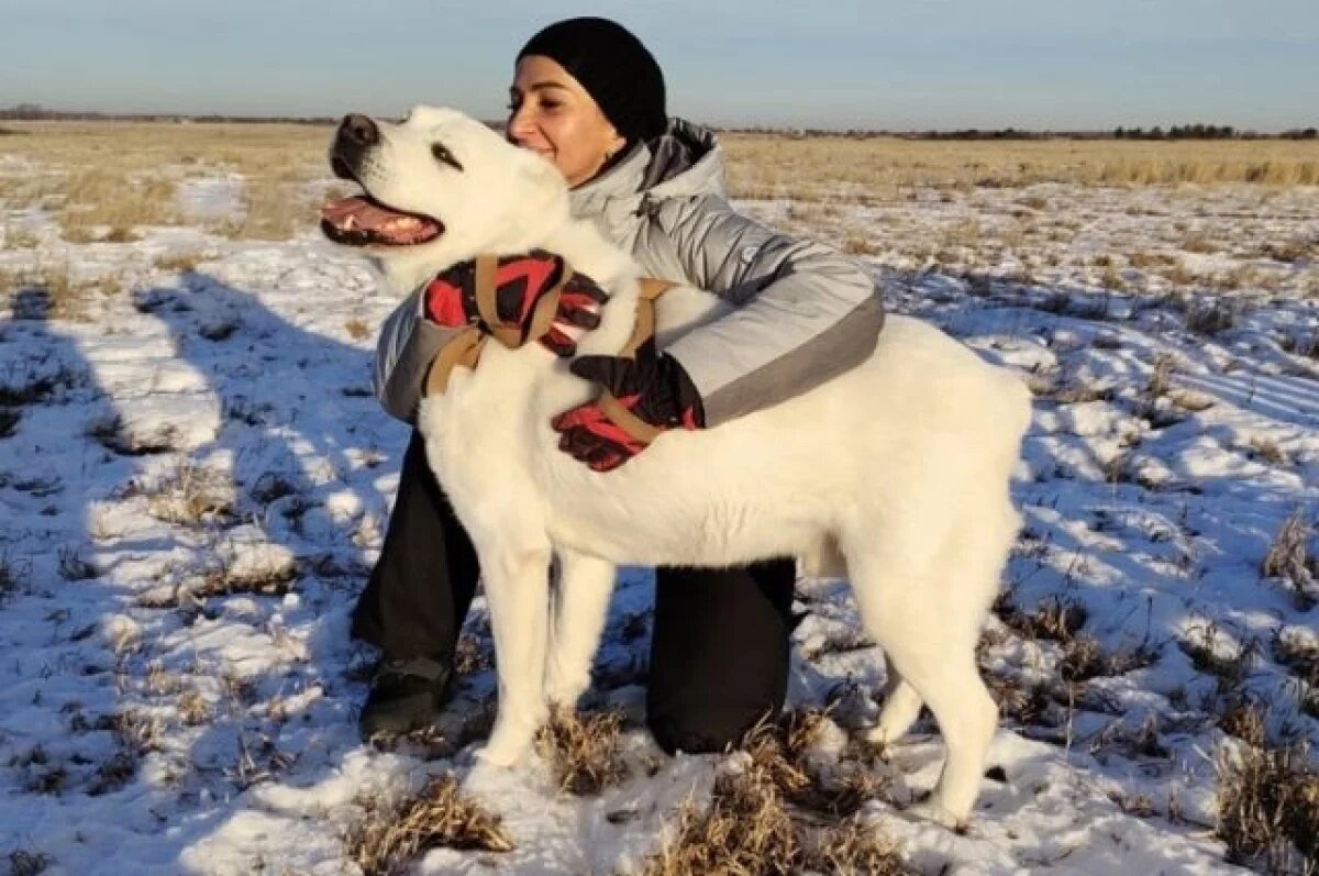    Свердловчан приглашают на «Апрельник» в приюте для собак