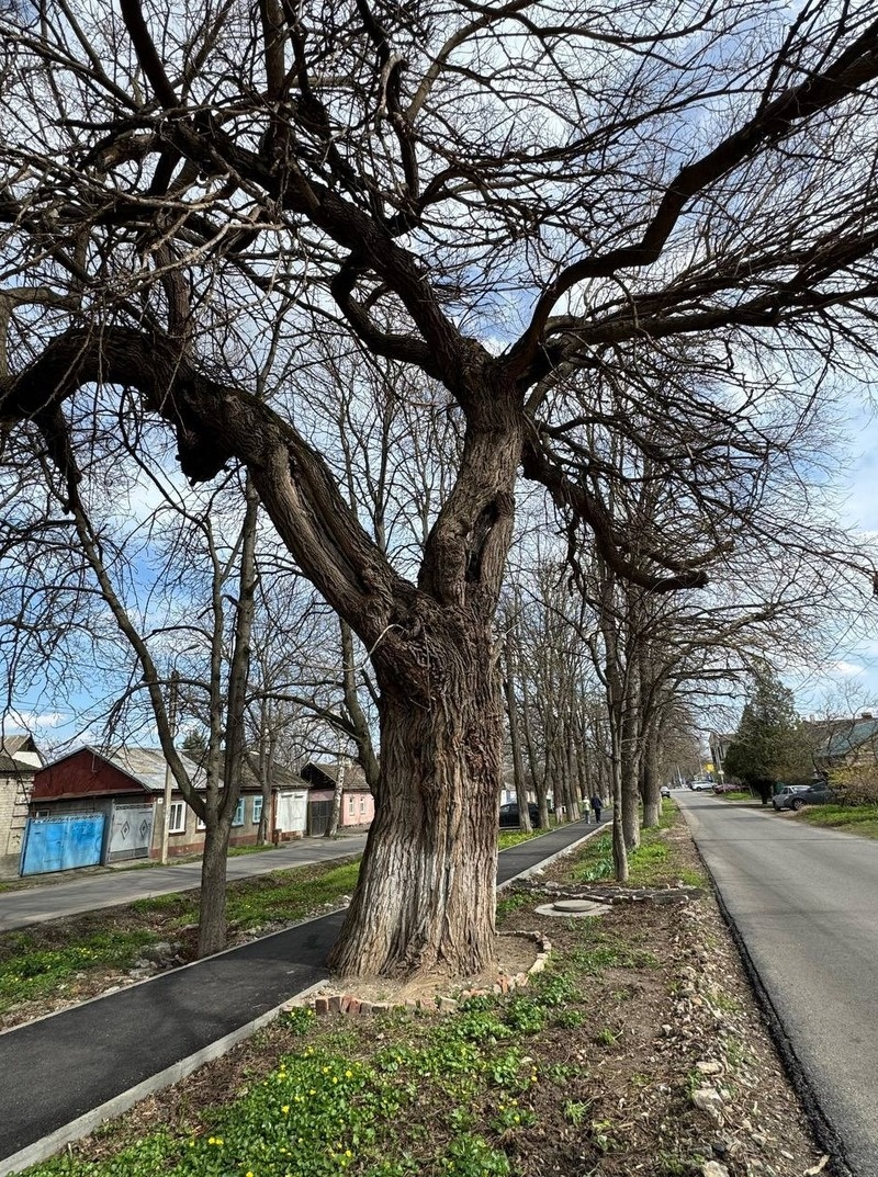      Фото: Телеграм-канал Евгения Бакулина
