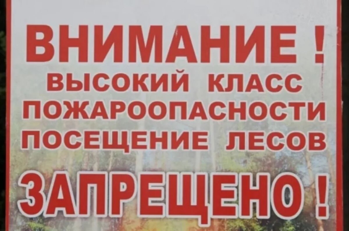    Запрет на посещение лесов в Тюменской области устанавливается с 5 апреля