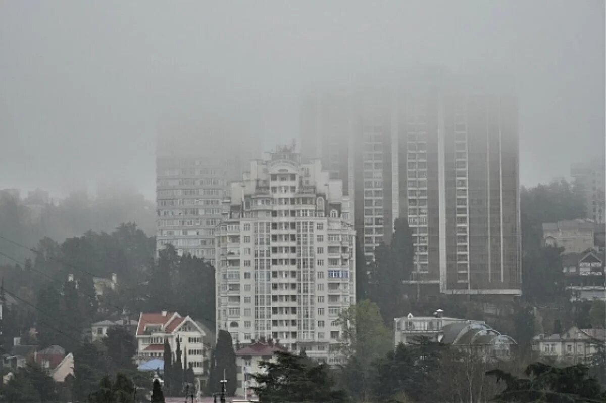    В Сочи к вечеру 1 апреля прогнозируют усиление тумана