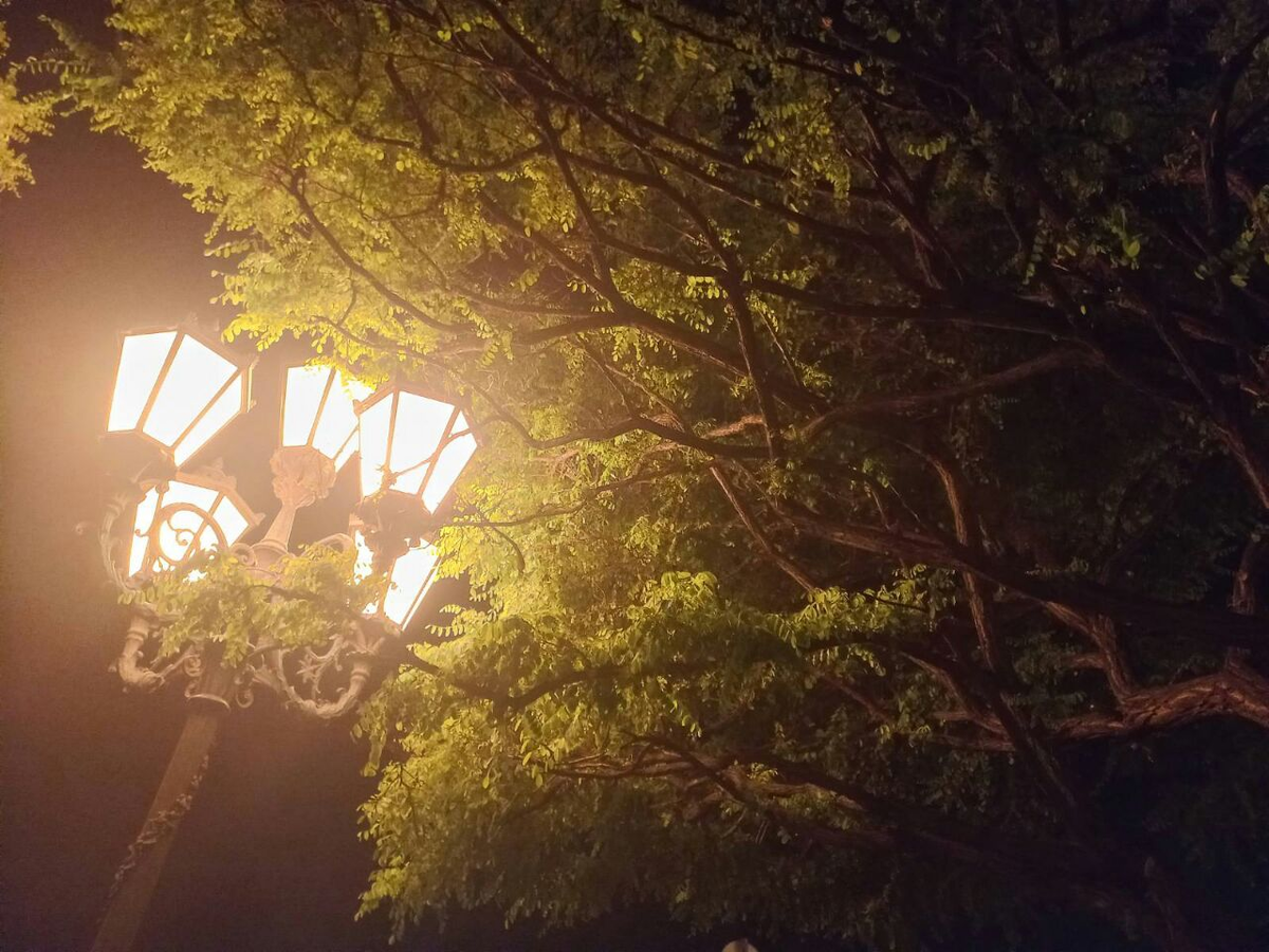 Фото автора.